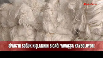 Sivas’ın Soğuk Kışlarının Sıcağı Yavaşça Kayboluyor!