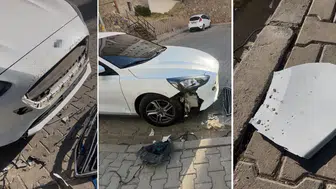 Sivas Divriği’de sokak köpekleri 108 bin TL’lik hasar bıraktı!