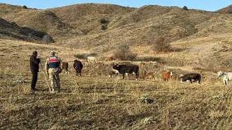 Jandarma'dan çobanı mutlu eden sonuç