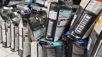 Sivas'ın Soğuğu Değil, Merhameti Konuşuluyor! Vatandaşlar O Canlar İçin Harekete Geçti!