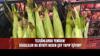 Tezgâhlarda Yeniden! Sivaslılar Bu Bitkiyi Neden Çay Yapıp İçiyor?
