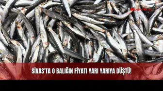 Sivas'ta O Balığın Fiyatı Yarı Yarıya Düştü!