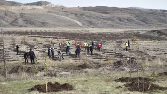 Sivas'taki Sanayi Bölgesinde Yeşil Devrim Yaşanıyor!
