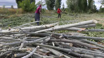 Fiyatlar El Yakıyor, Odun Isıtıyor: Kırsalda Kış Hazırlığı