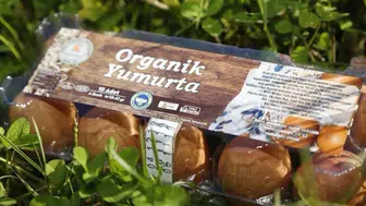 Destek, yumurta sektörünü yeniden ayağa kaldırdı!