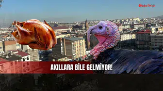 Yılbaşı Dışında Sivas'taki Birçok Kişinin Aklına Bile Gelmiyor!