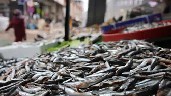 Hem Sağlıklı Hem Ekonomik: Soğuk Havada Balık Satışları Patladı