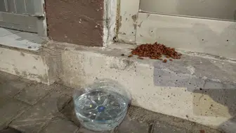 Sivas'ta Soğuklara İnat Yürek Isıtan Bir Direniş Başladı