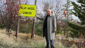 Sivas'ta 5 fidanla başlayan serüven 3 bin ağaca ulaştı