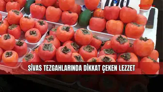 Kilosu 100 TL olan meyve Sivas’ta neden ilgi görüyor