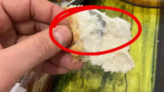 Bir Lokma Daha Yese Facia Olacaktı! Ekmeğin İçinden Çıkan Şeyi Görünce Çok Şaşıracaksınız!