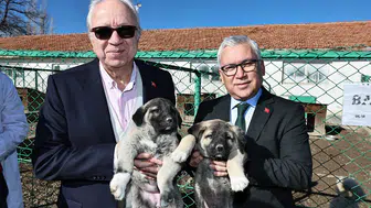 TİGEM'deki Gelişmeler Mercek Altında! Vali Şimşek'ten Ziyaret!