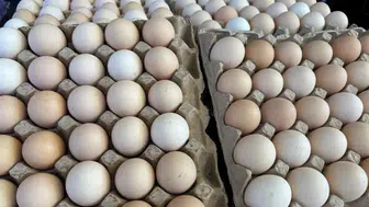 Yerel Üretici Direniyor, İthal Ürünler Yükselişte!