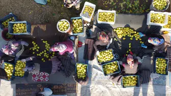 Tarlada Sessiz Düşüş, Etikette Sert Sinyal