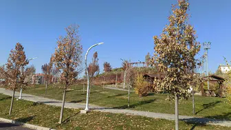 Sivas’ta Parklarda Neler Oluyor?