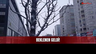 Sivas'ta Kar Yağışı Birçok Aktivitenin de Habercisi!