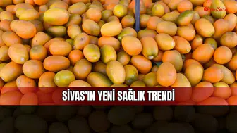 Kilosu 100 TL'den Satılan Kamkat Sivas'ta İlgi Görüyor