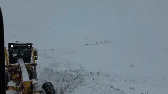 Son Dakika! Artvin'de Çığ Düştü! 2 Bin Rakımda Zamanla Yarışılıyor!