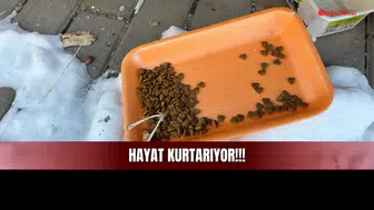 Sivas'ta Herkesin Kapısının Önündeki O Detay Aslında Hayat Kurtarıyor!