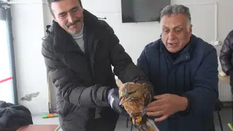 Sivas Zara’da Uçamayan Misafir Dükkana Sığındı