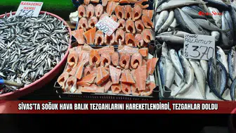 Sivas’ta soğuk hava balık tezgahlarını hareketlendirdi, tezgahlar doldu
