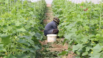 Bu Destek Kadınlar İçin Tarımı Baştan Aşağı Değiştirecek