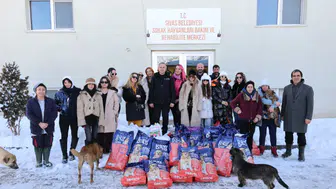 Sivas’ta Can Dostlara 1 Ton Mama Desteği: Hayvanseverlerden Örnek Dayanışma