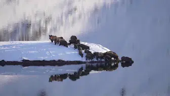 Sivas’ta Tanık Olunan Olağanüstü Geçiş: Soğuk, Buz ve Cesaret