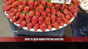Sivas’ta çilek rekor fiyattan satılıyor