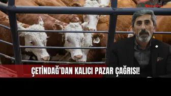 Sivas Merkezde Hayvan Pazarı İhtiyacı Var