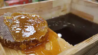 Sahte Organik Ürünlerde Yapılan Akılalmaz Hileler!