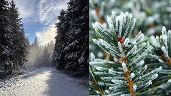 Zemheri Bitti mi? Gücük Ayında Neler Yaşanacak? Doğada Neler Değişiyor? 2026 Zemheri ve Gücük Ayı!