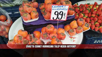 Sivas’ta Cennet Hurmasına Talep Neden Artıyor?