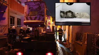 Sivas'ta Evde Çıkan Yangında 26 Kedi Can Verdi