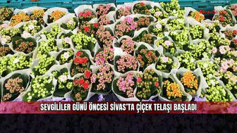 Sevgililer Günü öncesi Sivas’ta çiçek telaşı başladı