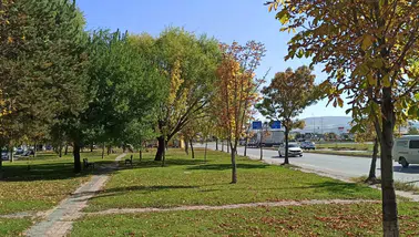 Sivas’ta Sonbahar Rüzgârı Parklarda Renk Cümbüşü Başladı