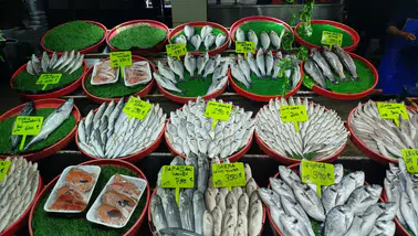 Sivaslılar Kışın Şifayı Balıkta Buldu!