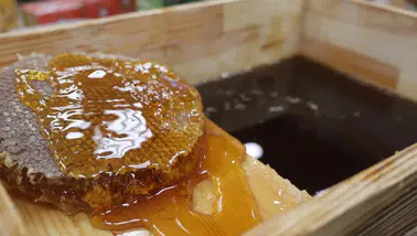 Sahte Organik Ürünlerde Yapılan Akılalmaz Hileler!