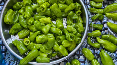 Kış Hazırlıkları Tam Gaz Devam Ediyor