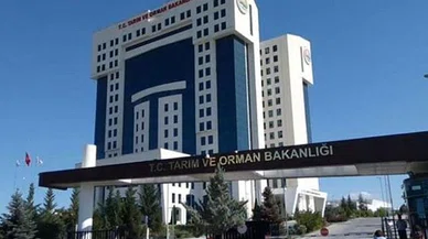 Tarım ve Orman Bakanlığı 7 bin 158 personel alacak