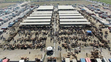 Bakan Yumaklı'dan Sivas'ta ki hastalığa ilişkin açıklama