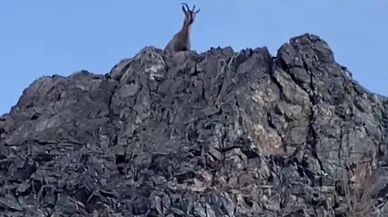 Dağların usta tırmanıcıları görüntülendi