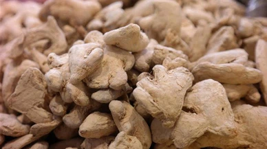 Kış aylarında direnç artırmanın yolu: Zencefil