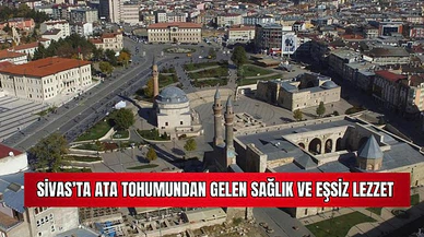 Sivas'ta Ata Tohumundan Gelen Sağlık ve Eşsiz Lezzet 