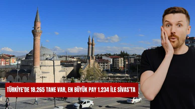 Türkiye'de 18.265 Tane Var, En Büyük Pay 1.234 ile Sivas'ta