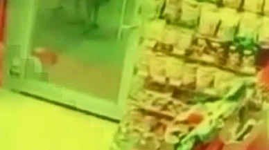 Aç kalan kurt, köpeğe saldırdı