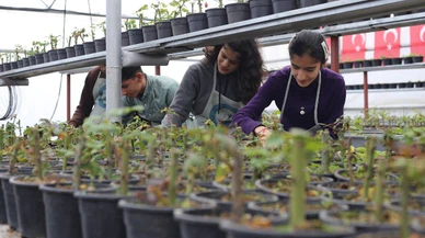 Eğitimden üretime giden tarım yolculuğu
