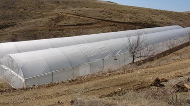 İnşaat işiyle uğraşıyordu, oğlunun tavsiyesi ile sera kurup üretime başladı