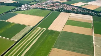 Yatırımcıların Gözdesi: Erzurum'daki Arsalar! 14.800 TL Parası Olanlar Bu Fırsat Kaçmaz!