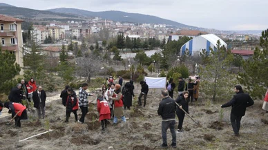 300 fidan, depremde hayatını kaybeden kadınlar anısına toprakla buluştu